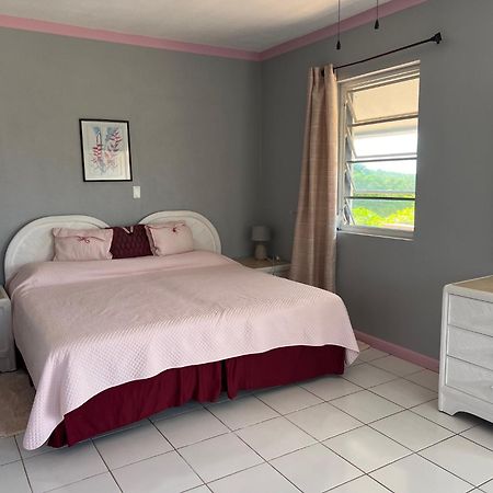 Apartmán Turtles Nest Bahamas George Town Exteriér fotografie