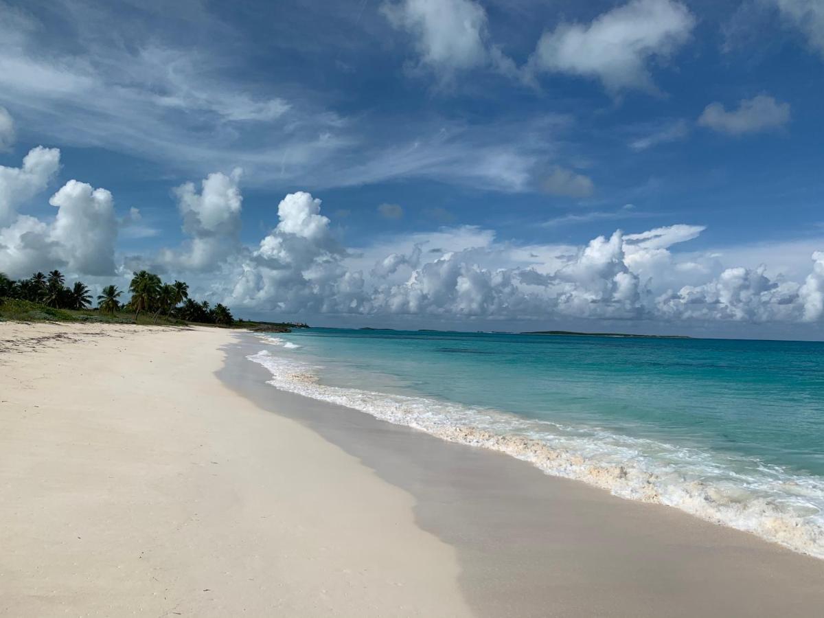 Apartmán Turtles Nest Bahamas George Town Exteriér fotografie