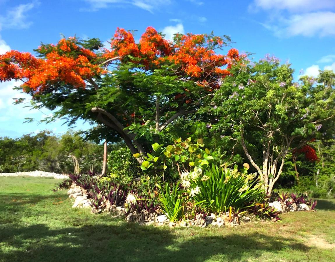 Apartmán Turtles Nest Bahamas George Town Exteriér fotografie